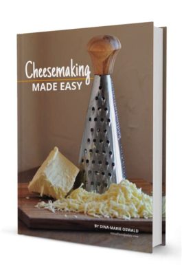 Queso of Dreams -  A Story About Lost Love and Unexpected Cheesemaking Adventures!